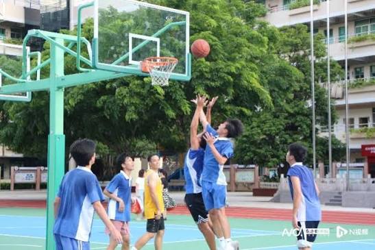 开云平台常见误区全解析：账户安全、登录体验、下载使用的真相与陷阱